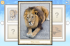 bubble head lion
