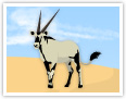 Oryx