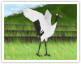 Red-crowned Crane