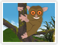 Tarsier