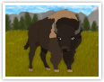 Bison