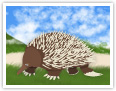 Echidna