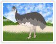 Emu