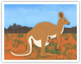 Kangaroo