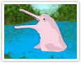 Amazon River Dolphin