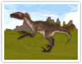 Velociraptor