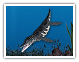 Liopleurodon