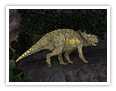 The Pachyrhinosaurus