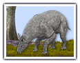 Paraceratherium