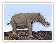 Platybelodon