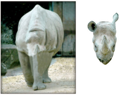 thumb_bobble_head_rhino